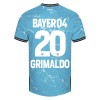 Levné Bayer 04 Leverkusen Alejandro Grimaldo 20 Alternativní Fotbalové dresy 2023-24 Krátký Rukáv